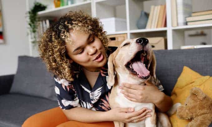 When To Tell the Landlord About Emotional Support Animal